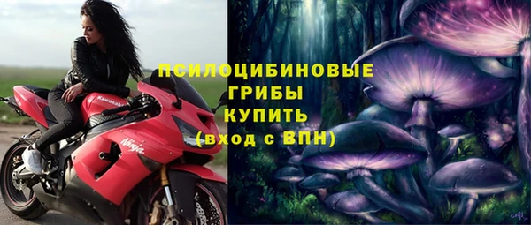 герыч Алзамай